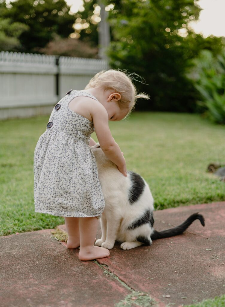 Why Cats Are the Best Pets